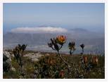 Cape Peninsula - from Table Mountain * 2592 x 1944 * (2.43MB)